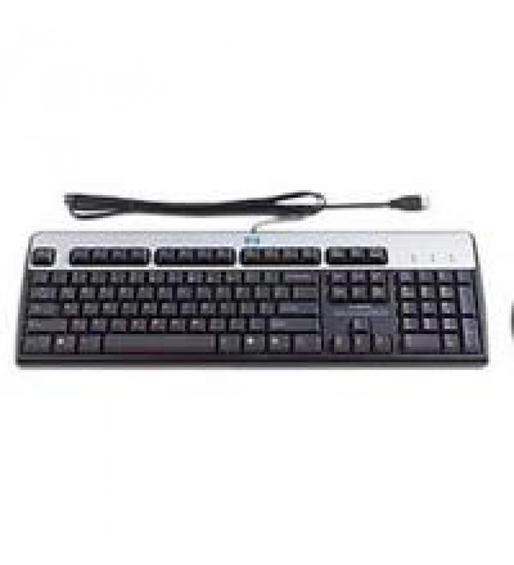 TECLADO Y MOUSE HPE USB IDIOMA INGLES