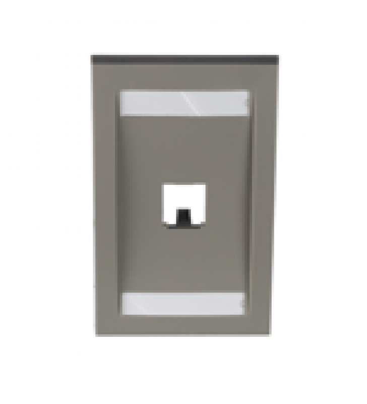 PLACA DE PARED VERTICAL EJECUTIVA, SALIDA PARA 1 PUERTO MINI-COM, CON ESPACIOS PARA ETIQUETAS, COLOR GRIS