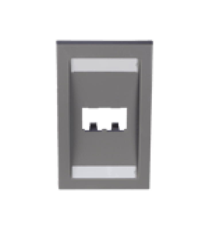 PLACA DE PARED VERTICAL EJECUTIVA, SALIDA PARA 2 PUERTOS MINI-COM, CON ESPACIOS PARA ETIQUETAS, COLOR GRIS