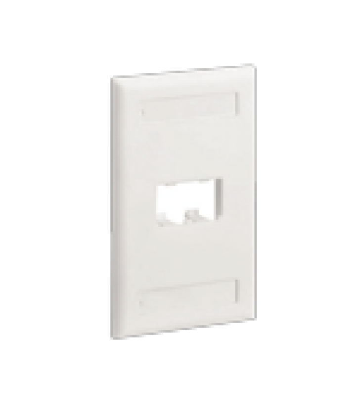 PLACA DE PARED VERTICAL CLASICA, SALIDA PARA 2 PUERTOS MINI-COM, CON ESPACIOS PARA ETIQUETAS, COLOR BLANCO