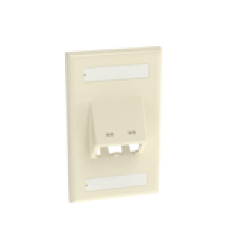 PLACA DE PARED VERTICAL CLASICA, SALIDA PARA 2 PUERTOS MINI-COM INCLINADOS, CON ESPACIOS PARA ETIQUETAS, COLOR MARFIL