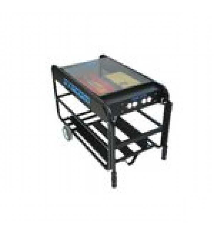 UNIDAD DE RESPALDO  DE 1000 W / SALIDA: 120 VCA. CAPACIDAD DE 4 BATERIAS PL110D12 (NO INCLUIDAS).